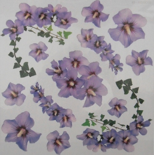 Sospeso f�lie 24x24 - ibi�ek