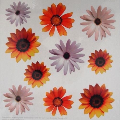 Sospeso f�lie 24x24 - t�apatky