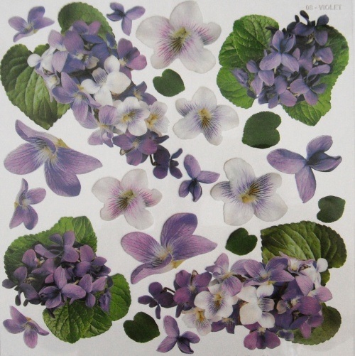 Sospeso f�lie 24x24 - violet
