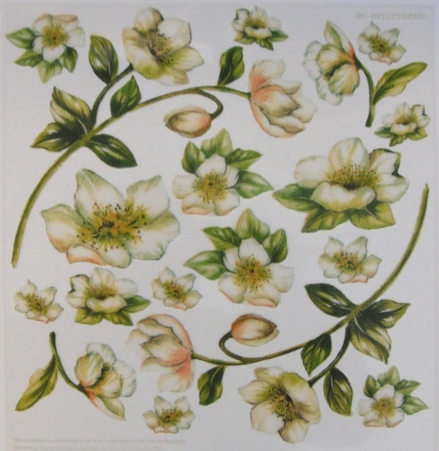 Sospeso f�lie 24x24 - �eme�ice