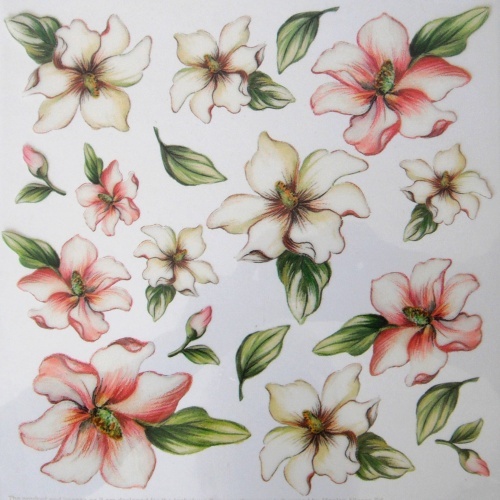 Sospeso f�lie 24x24 - magn�lie