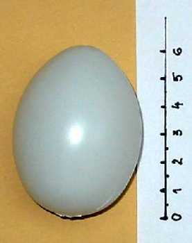 Vaj��ko plastov�, 6cm
