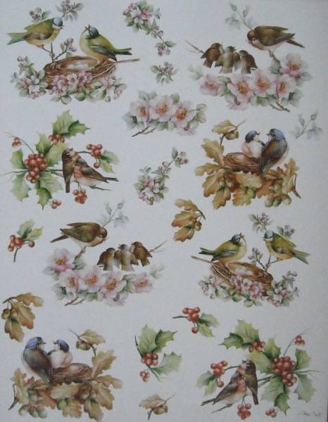 Pap�r 30x42 Hn�zda