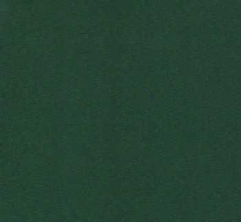 Knih.pl�tno Imperial 33x25 4200 zelen�
