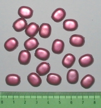 Plast.korálky ploché - bordó Plast.korálky ploché - bordó