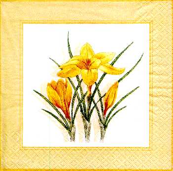 �lut� Krokus 33x33