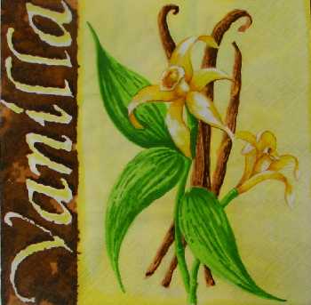 Vanilka 33x33