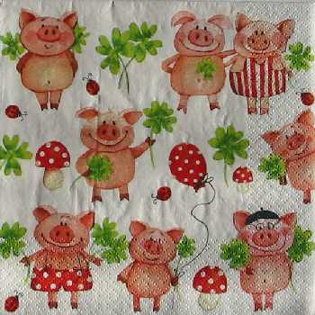 Pras�tka 33x33