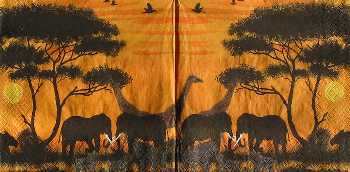 Afrika zv��ata 33x33