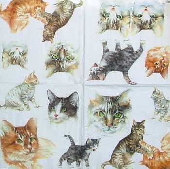 Ko��tka II. 33x33