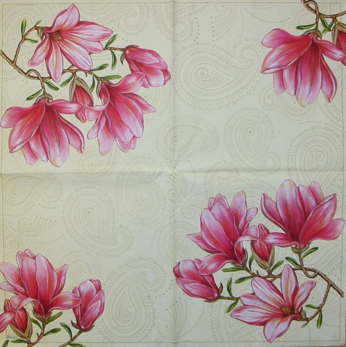 Magnolie na b�ov�m 33x33