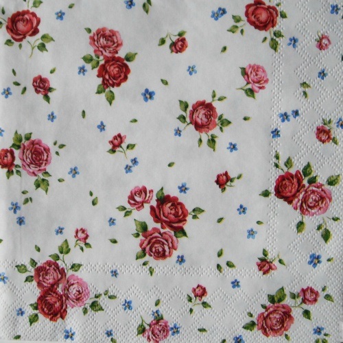 R��i�ky malink� 33x33