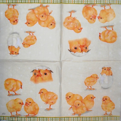Ku��tka na �lut� 33x33