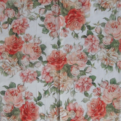 R��e celoplo�n� 33x33