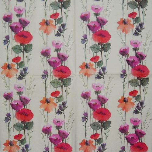 M�ky v �ad� 33x33