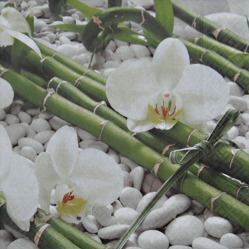 Orchideje a bambus 33x33