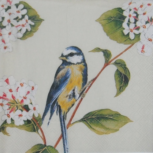 Pt��ek modr� 33x33
