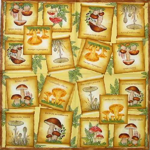 Houby mix 33x33