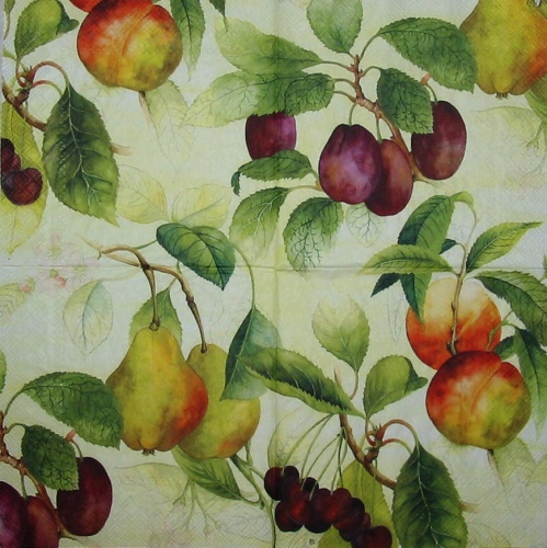 Ovoce na zelen� 33x33