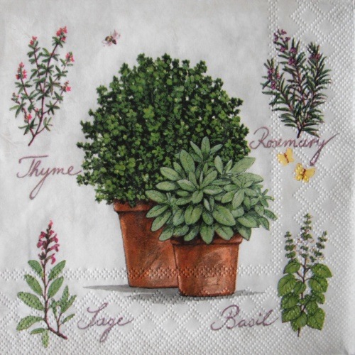 Bylinky na b�l� 33x33