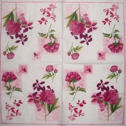Pivo�ky 33x33