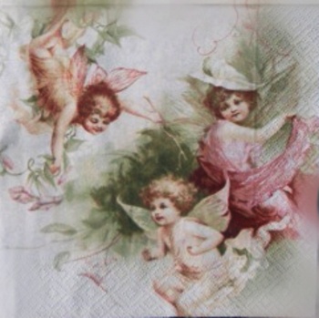 T�i and�lci 33x33