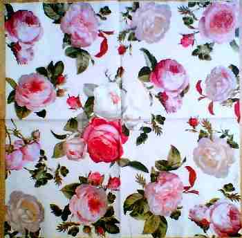Rosalia 25x25