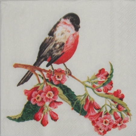 Pt��ek �erven� 25x25