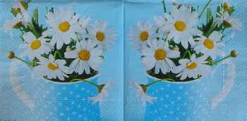 Some Daisies For You 33x33