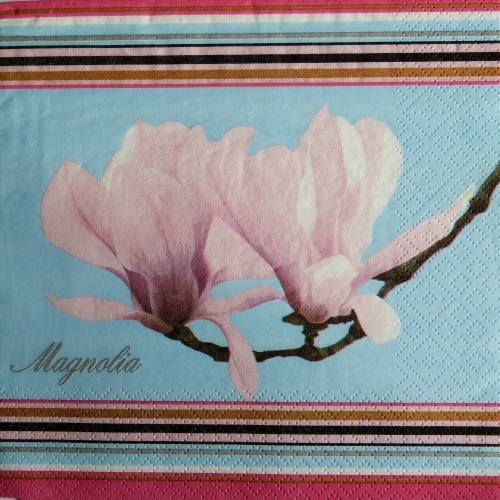 Magnolia 2 33x33