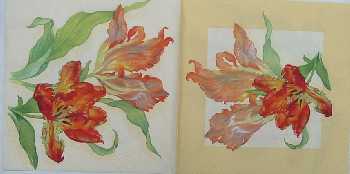 Tulip�ny 33x33