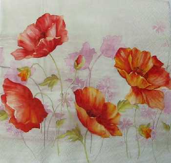 Lovely Poppy 33x33