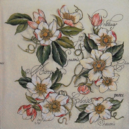 ��pkov� r��e 33x33