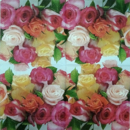 Pretty Roses 33x33