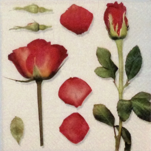 Scent of Roses 33x33