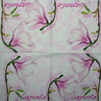 Magnolia 33x33