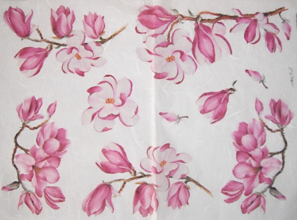 Pap�r r��ov� 35x50 Magnolie