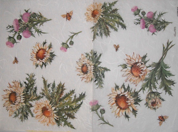 Pap�r r��ov� 35x50 Bodl�k