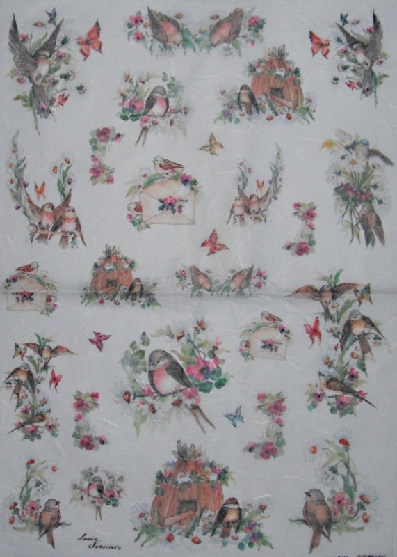 Pap�r r��ov� 35x50 Pt��ci