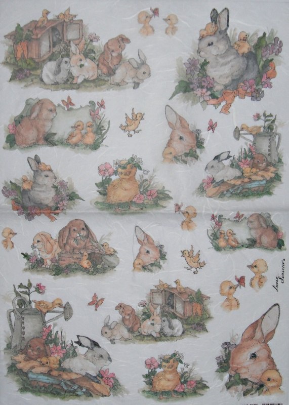 Pap�r r��ov� 35x50 Kr�l��ci
