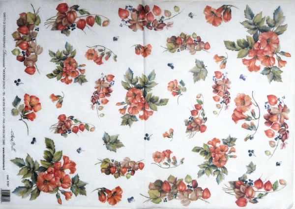 Pap�r r��ov� 35x50 Mochyn�
