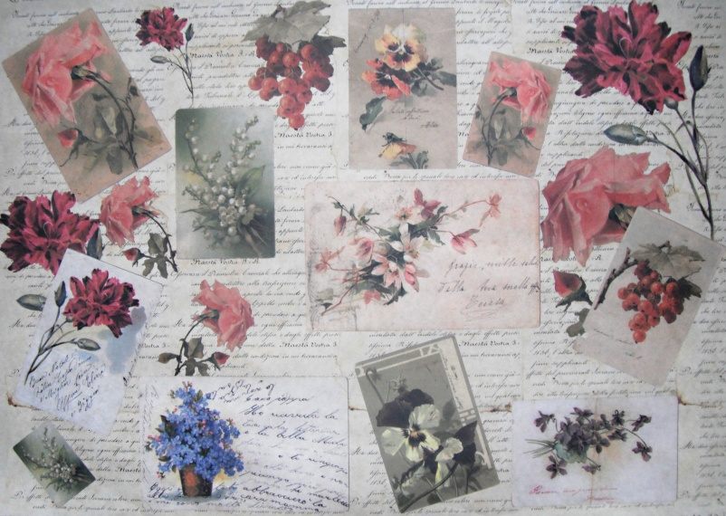 Pap�r Soft 50x70 Memories 1