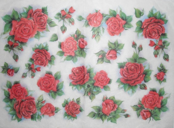 Pap�r r��ov� 35x50 R��e rud�