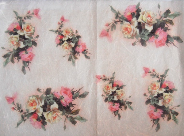 Pap�r r��ov� 35x50 R��e r��ovo-�lut� na b�ov�