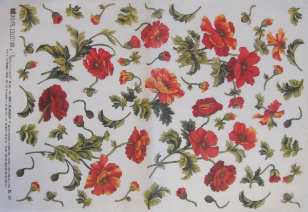 Retro M�ky 35x50