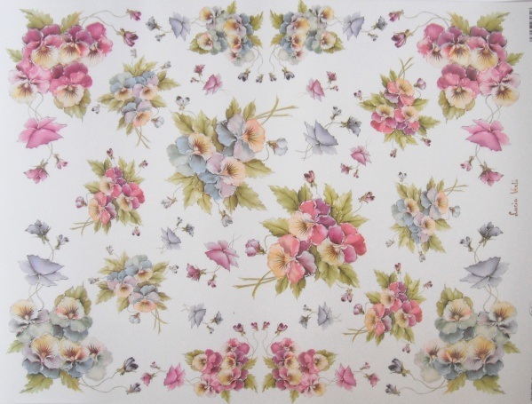Pap�r 30x42 Mace�ky