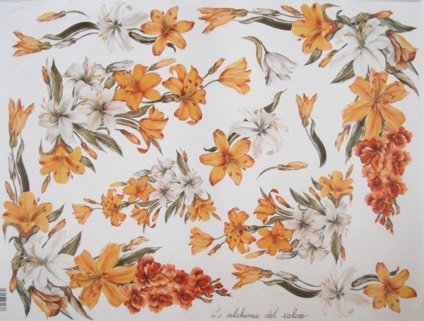 Pap�r 30x42 Lilie zlat�