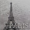 Reprodukce obrazu 16x16 - Paris, razítko