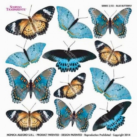 Sospeso folie 24x24 - modří motýli