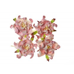 Set papírových kytiček - Gardenia 2